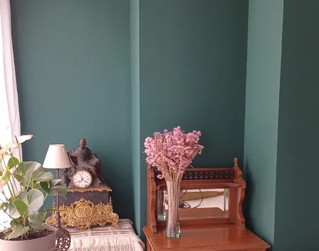 Decolor pintores – pintor en Parla