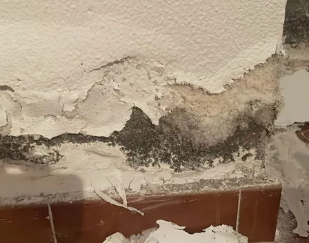 GRUPOTODOPINTOR S.L – pintor en Parla
