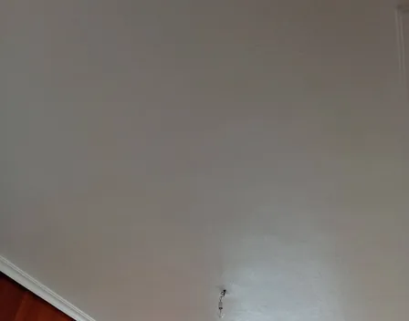PINTORES PRINCIPADO – pintor en Asturias