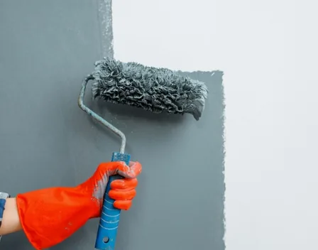 Pinturas Goenaga | Pintores en Donostia - San Sebastián | Empapelado – pintor en Donostia / San Sebastián