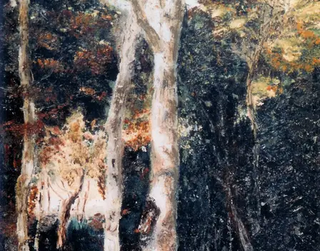 Pinturas Lledó – pintor en Ripollet