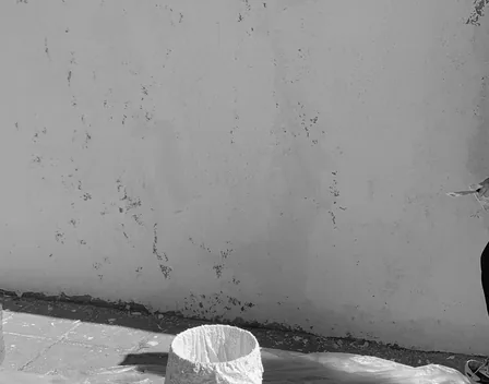 Pintures Osona Pintor Profesional – pintor en Manlleu